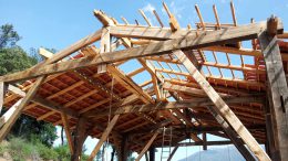 estructura de castanyer